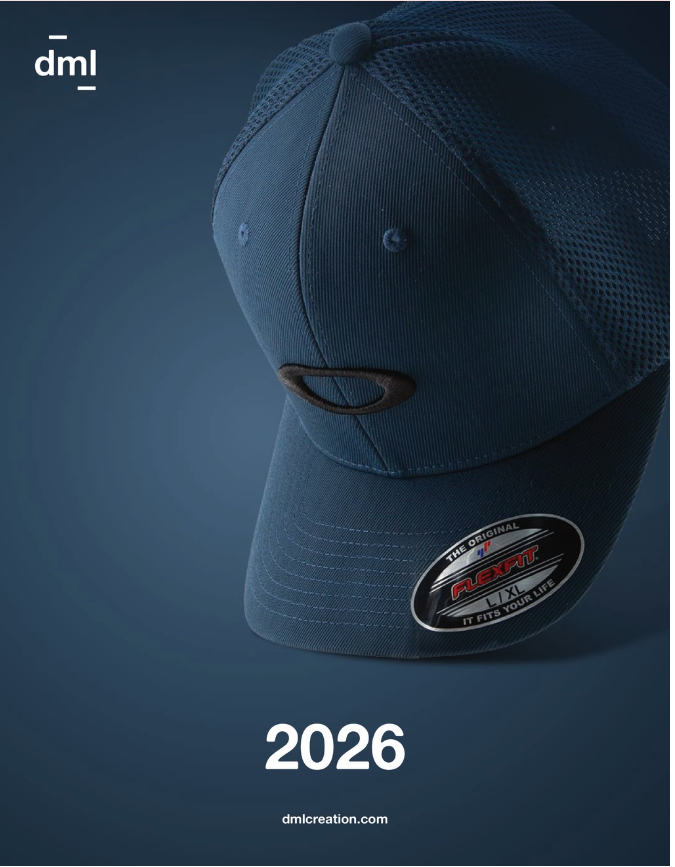 dml 2025-2026-1