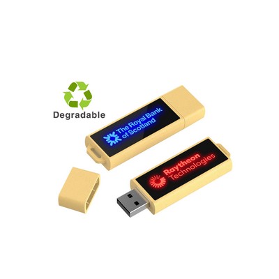 2 GB Glow LED USB Drive