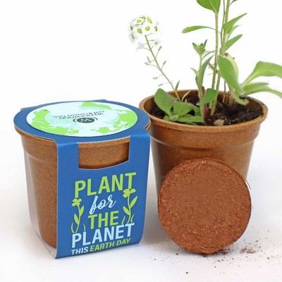 Plant for the Planet Seed Paper Sprouter Kits