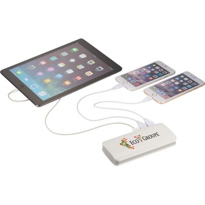 Spare 10000 mAh Power Bank