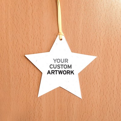 Single-Sided Holiday Star Seed Paper Ornaments